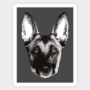 Belgian Malinois - Malinois Christmas Gifts Sticker